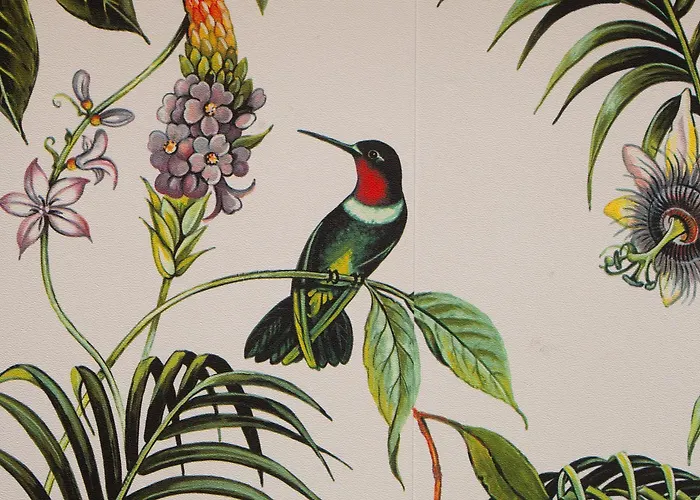 Отель King's Алкмар